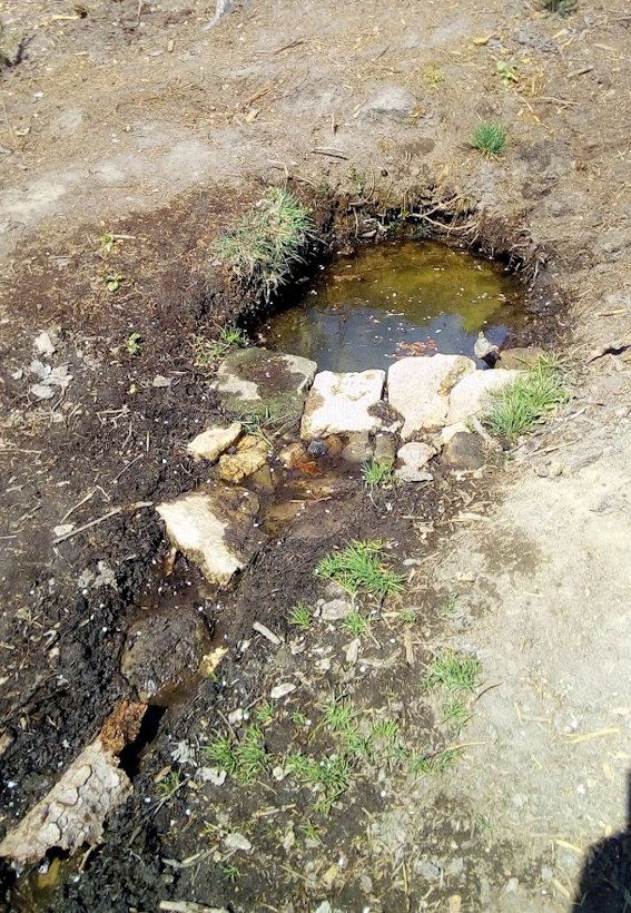 studánka Klářina (10484)