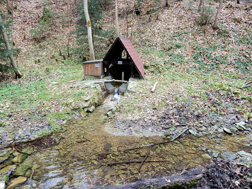 studánka U starého domu (10491)