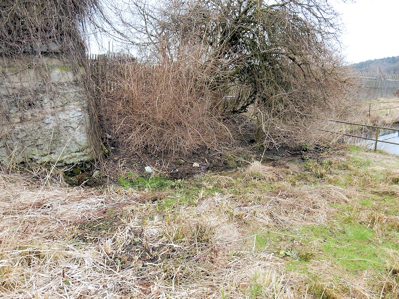 pramen Nad rybníčkem (10493)