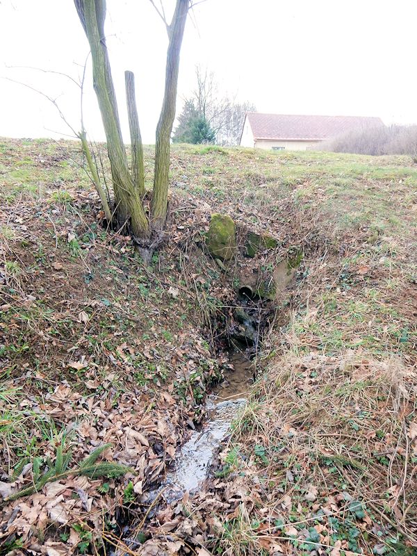 studánka Za Lachmanem (10498)