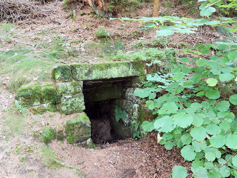 studánka Pod hradiskem (9006)