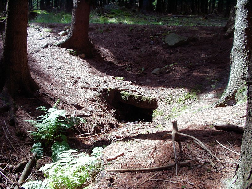 studánka bez jména (9012)