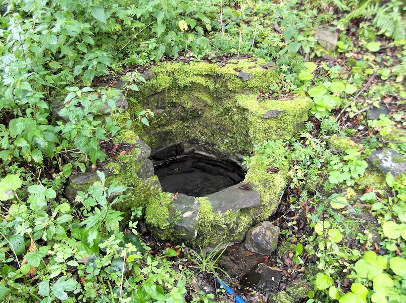 studánka U Chaloupky (9019)