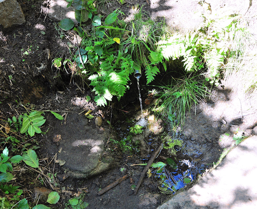 studánka Setonova (9020)