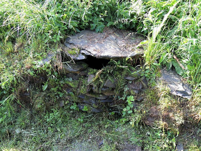 studánka U cesty (9025)