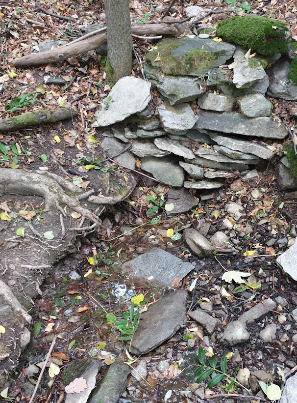 studánka Pod Výřími skálami (9029)