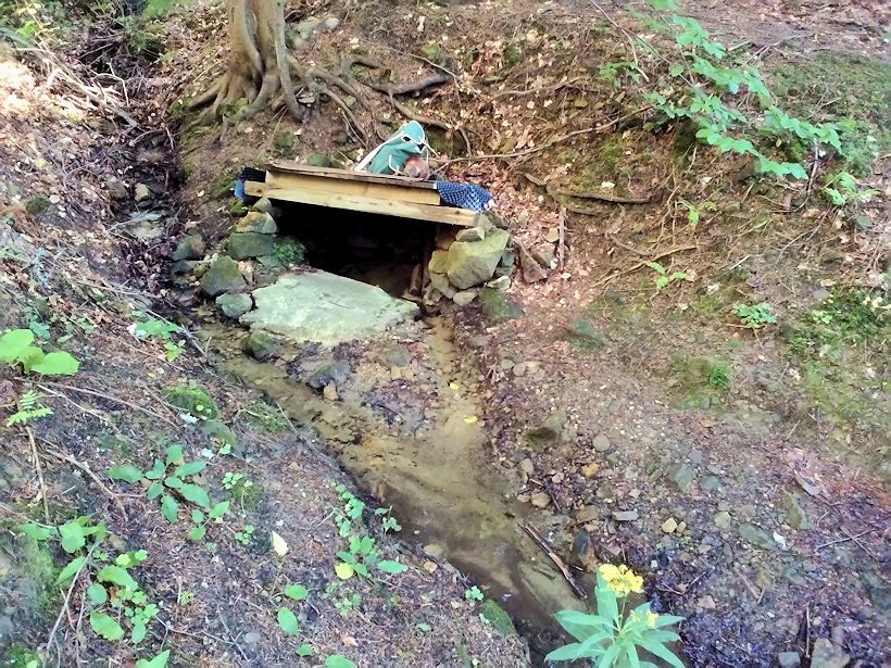 studánka Pod Čubovým kopcem (9034)
