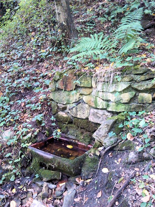 studánka V Rohlese (9038)