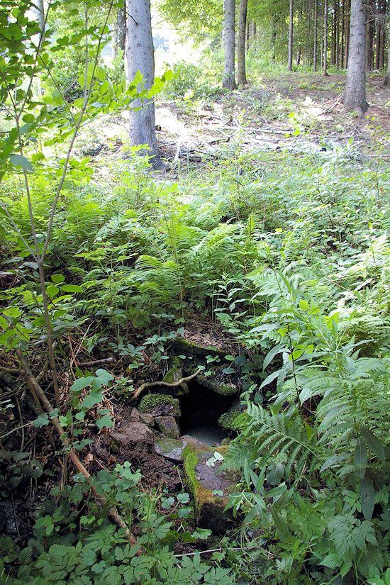 studánka Tety Aničky (9052)