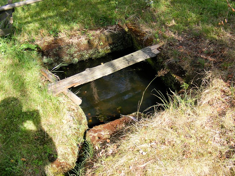 studánka bez jména (9054)