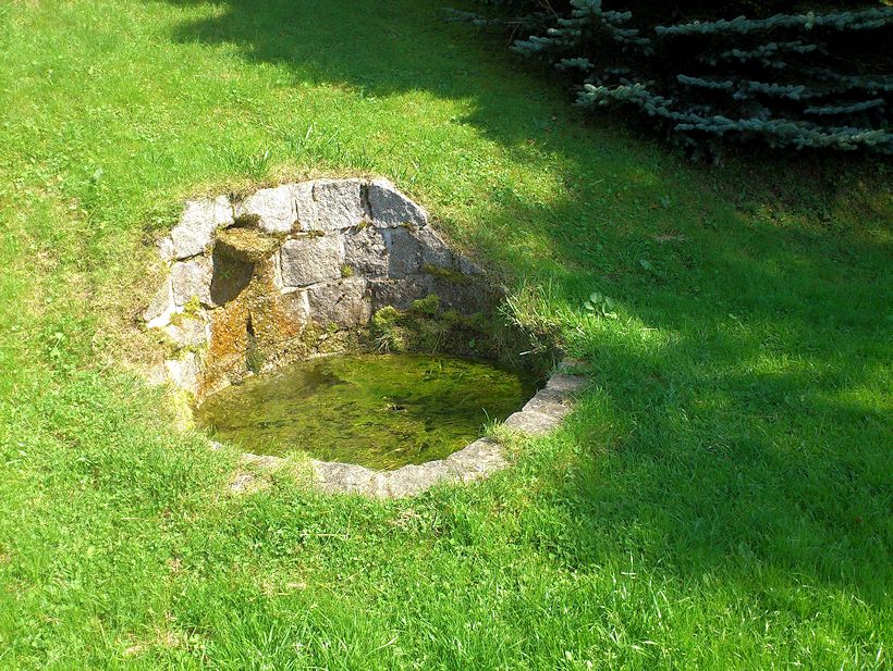 studánka bez jména (9056)