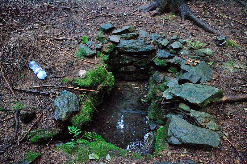 studánka Nad Ujčínem (9062)