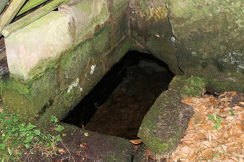 studánka Musilka (9069)
