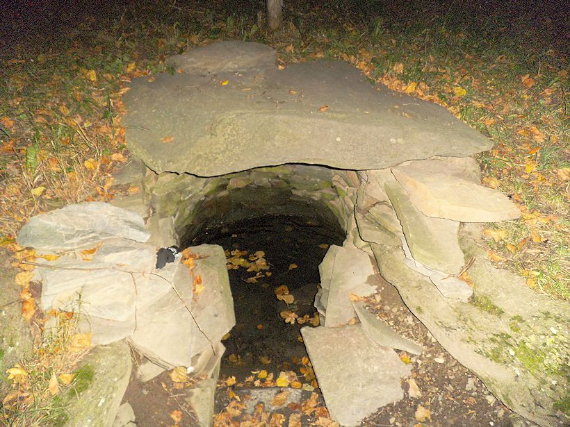 studánka Pod Lipami (9072)