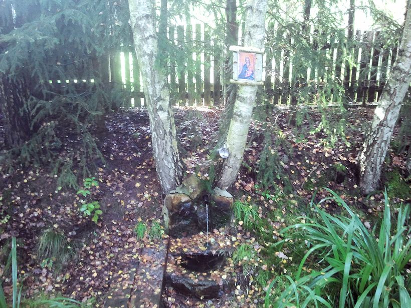 studánka Plachtín (9085)