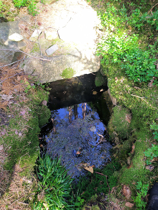 studánka Na Prašivce (9097)