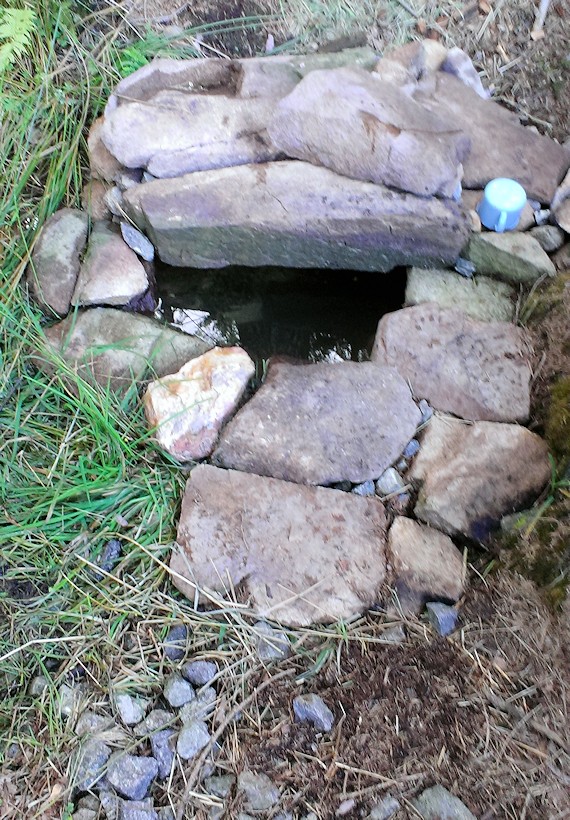 studánka Pod Komárovem (9098)