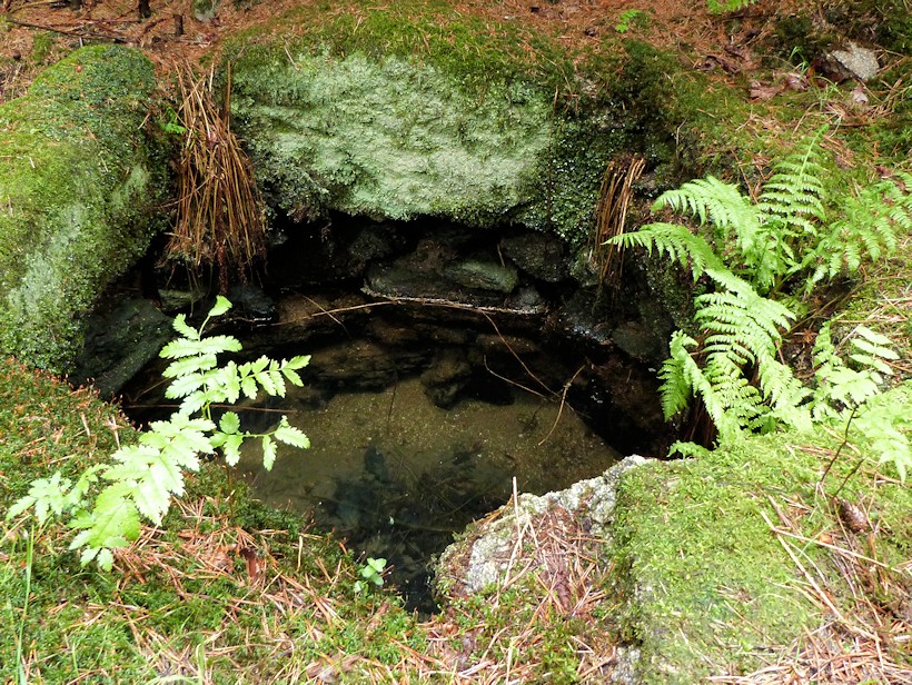 studánka Vahlovice (9100)