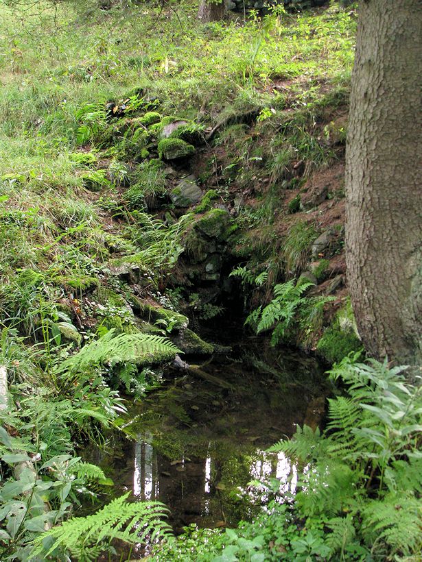 studánka U hájovny Nickelberg  (9133)