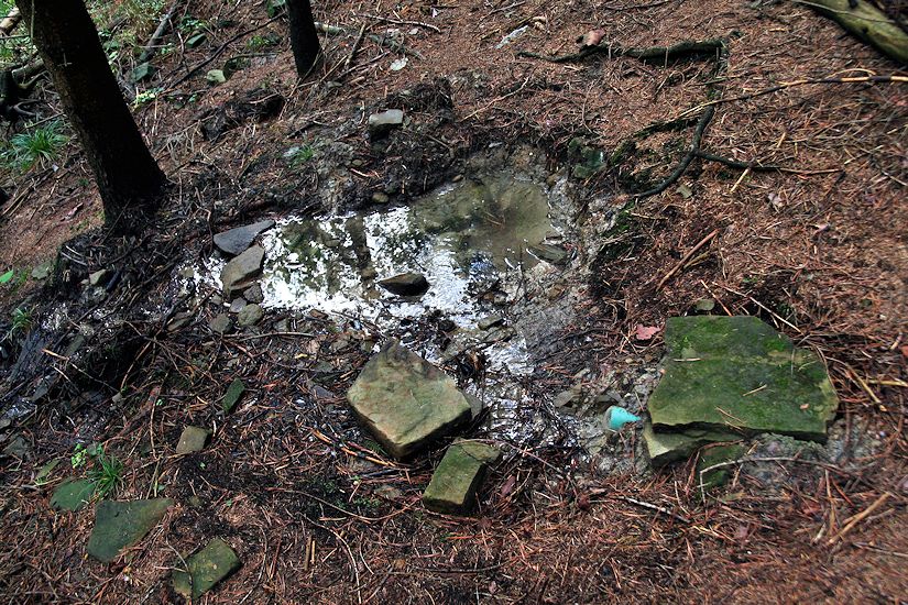 studánka Na Zárubové (9152)