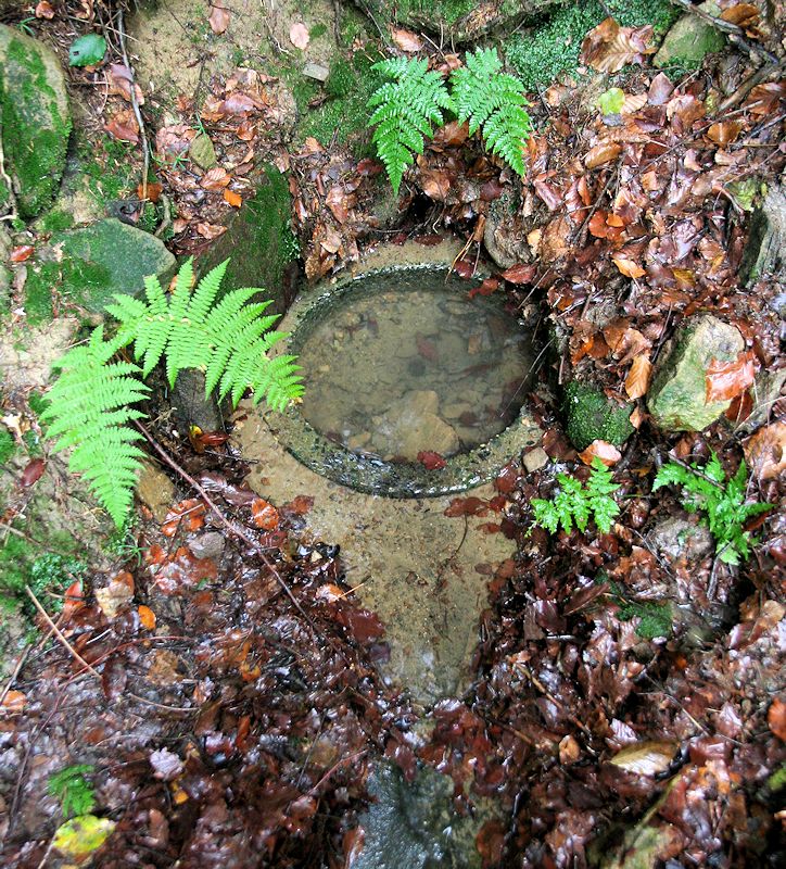studánka Okrúžek (9153)