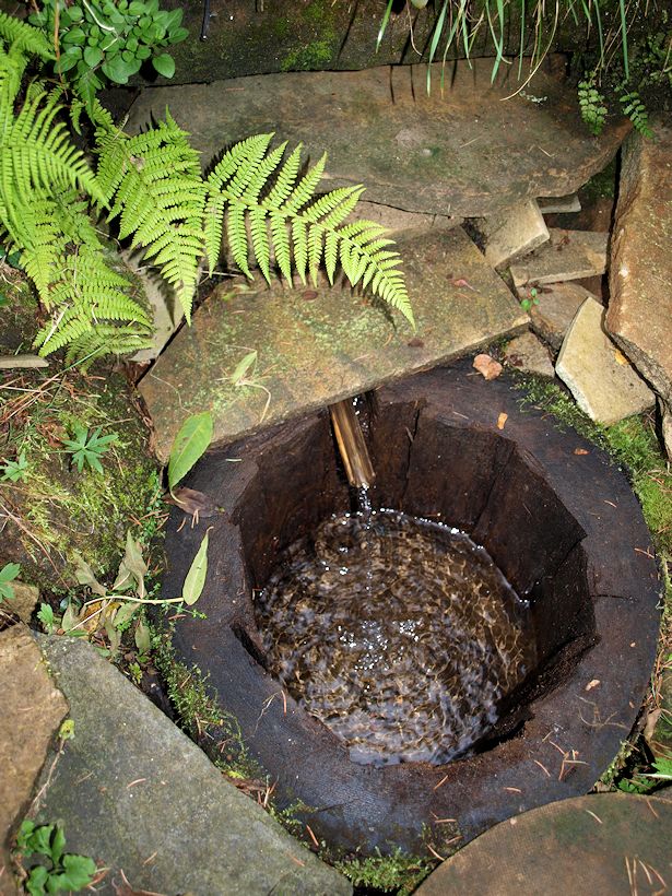 studánka U kapličky (9160)