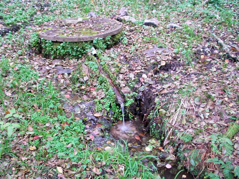 studánka bez jména (9162)