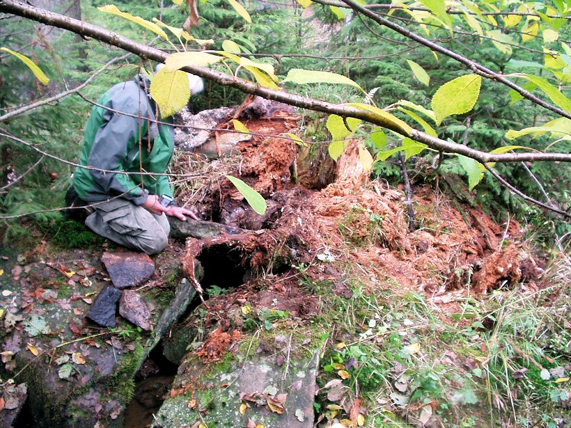 studánka bez jména (9163)