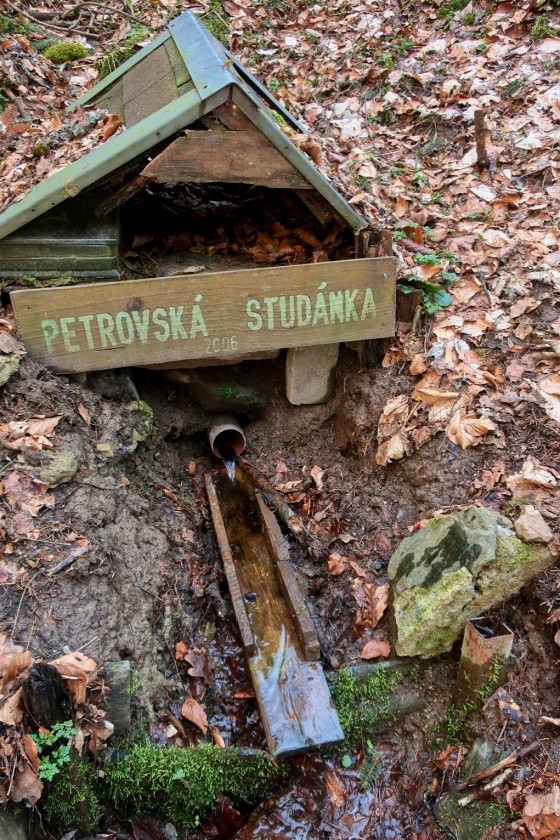Petrovská studánka (9169)