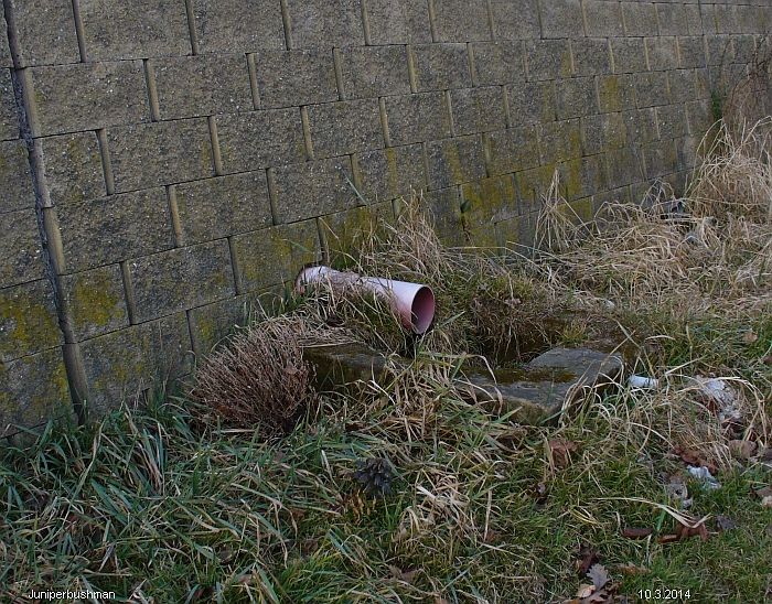 jiný vodní zdroj U Hladového kamene (9174)
