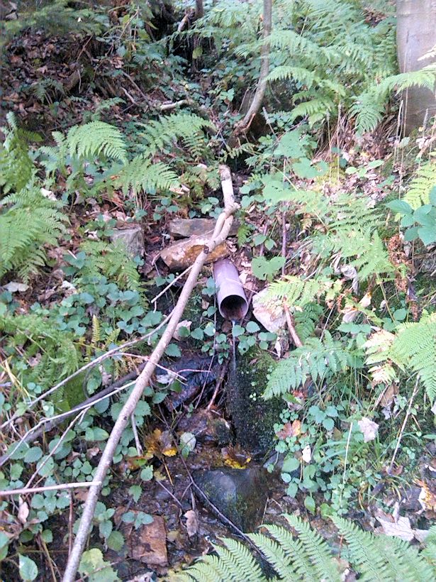 studánka Nad silnicí (9183)