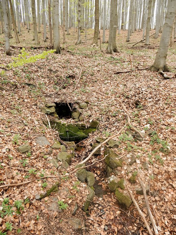 studánka Cukrová bouda (9200)