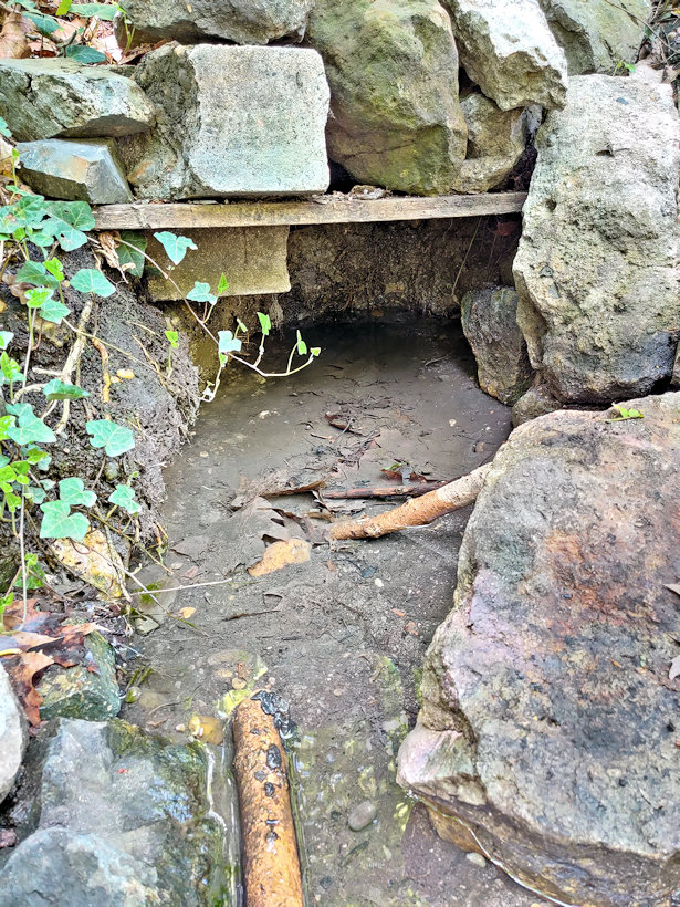 studánka Pod Baroňákem (9205)