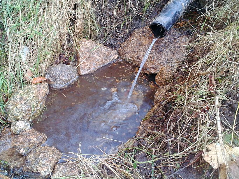 studánka U trati (9219)