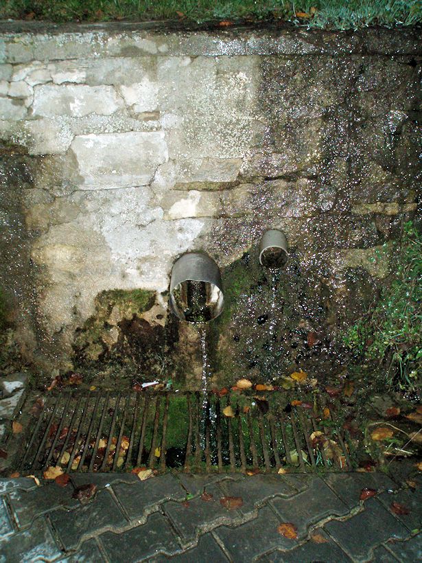 Rašovická studánka (9232)