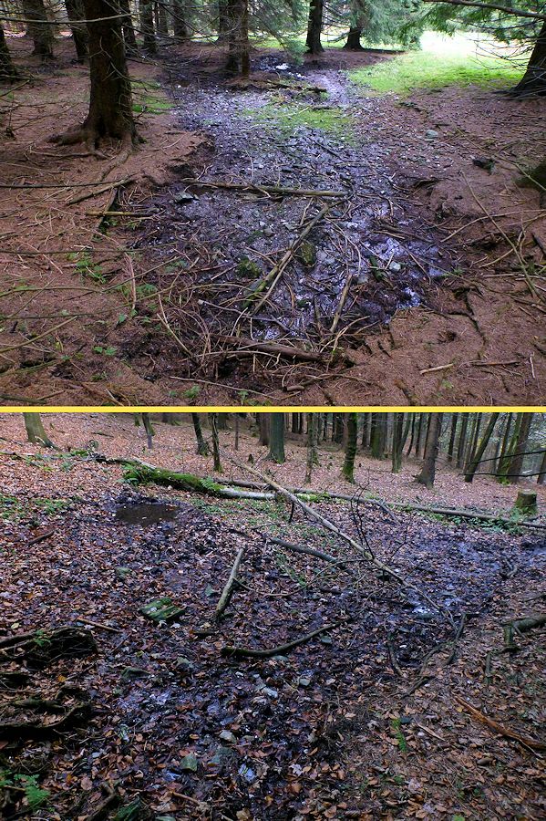prameniště Nad Rovinou (9233)
