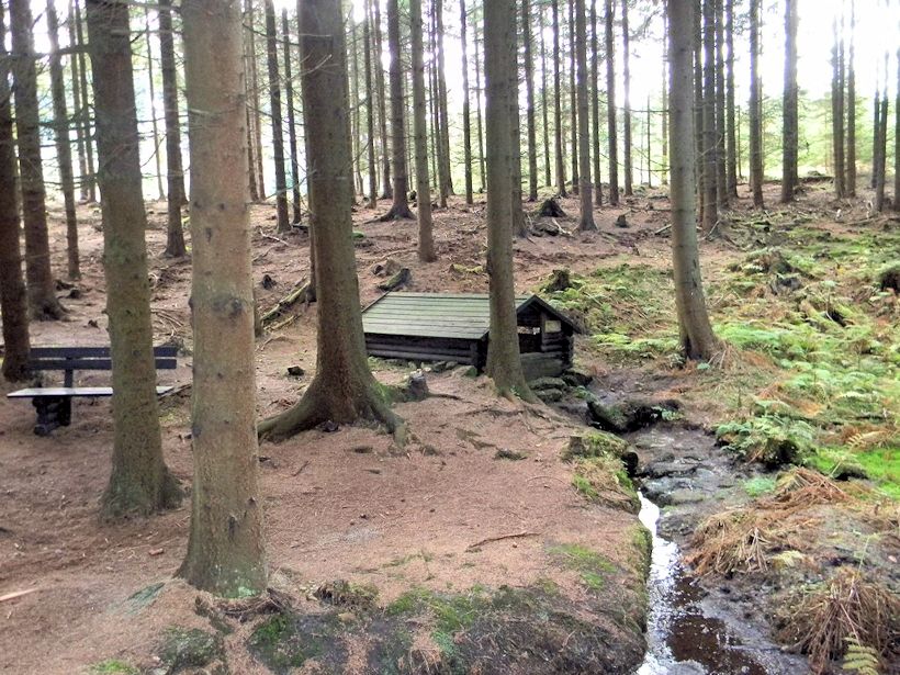 studánka Pod Vysokým kamenem (9239)