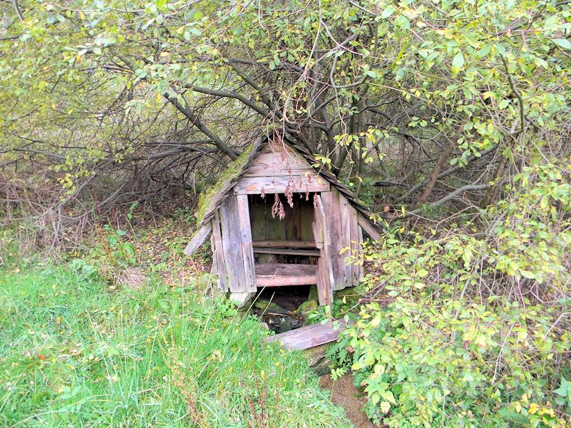 studánka Ve Vlčích Jamách (9240)