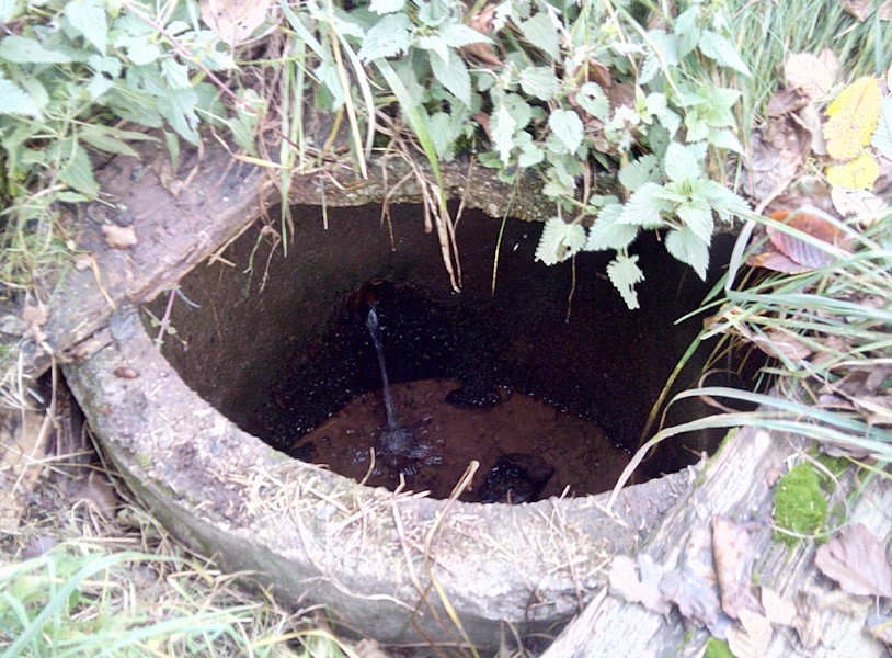 studánka bez jména (9249)