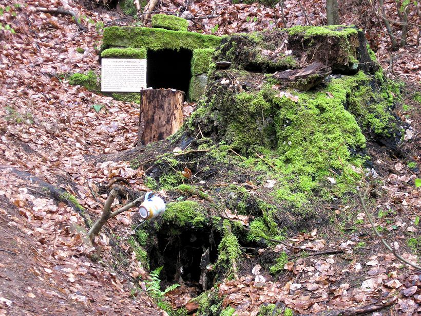 studánka Stříbrník (9253)