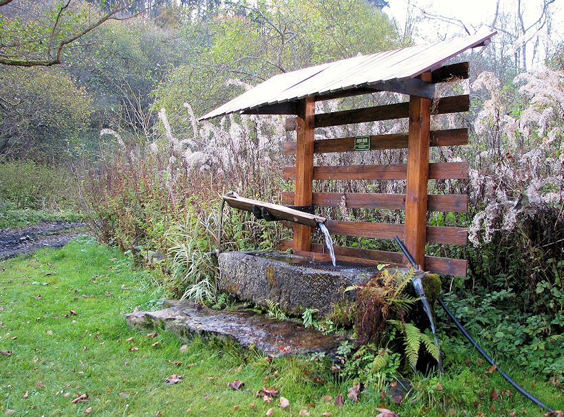 studánka U Sloního potoka  (9255)