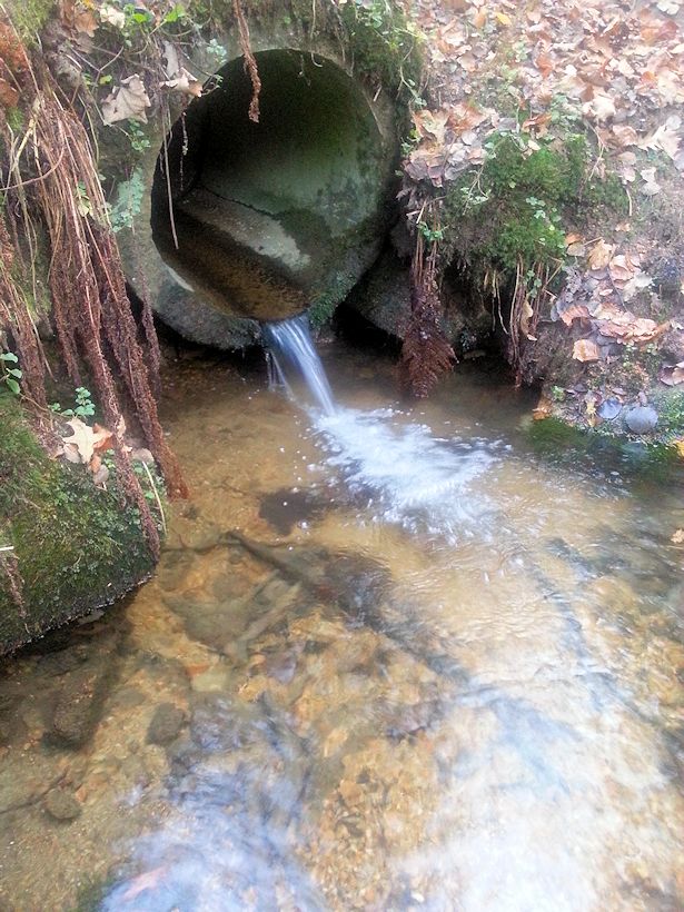 studánka bez jména (9258)