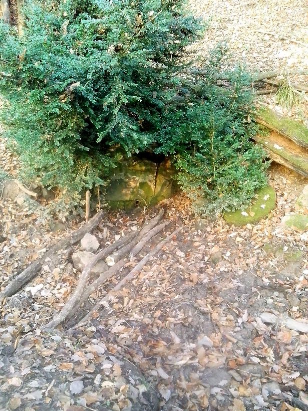 Menclova studánka (9284)
