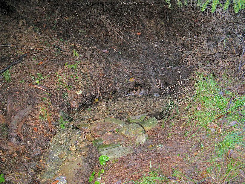 studánka bez jména (9286)
