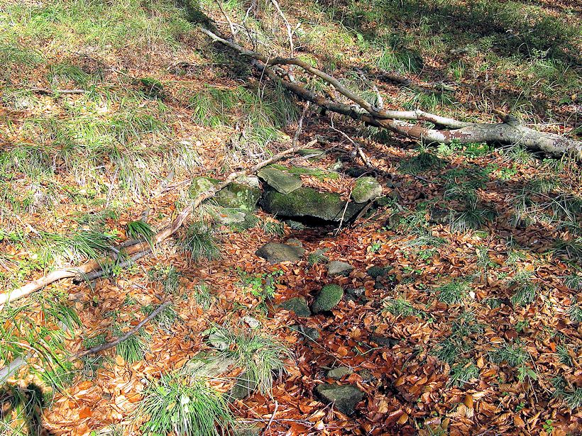 studánka bez jména (9287)