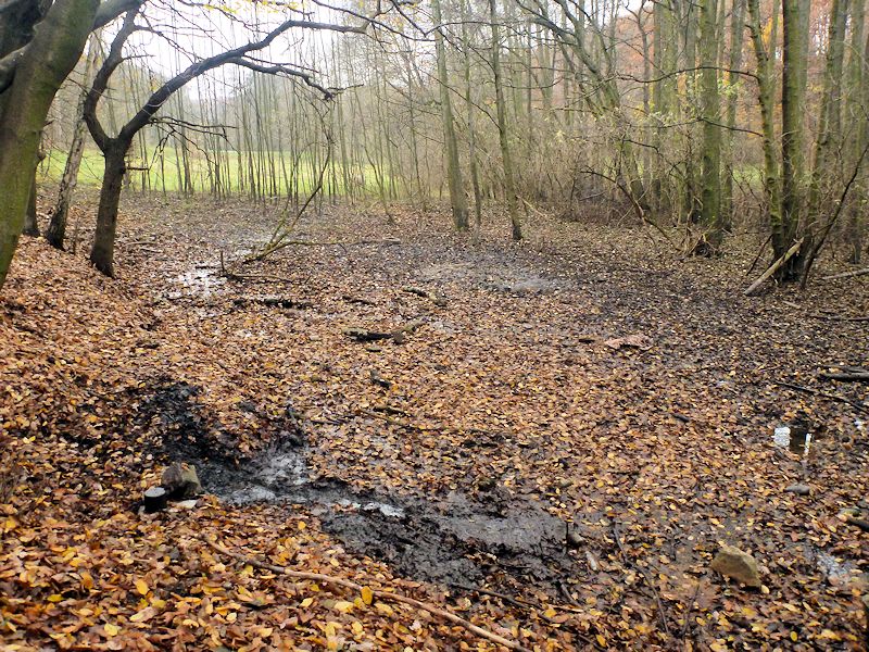 prameniště V údolí Březeneckého potoka 4 (9294)