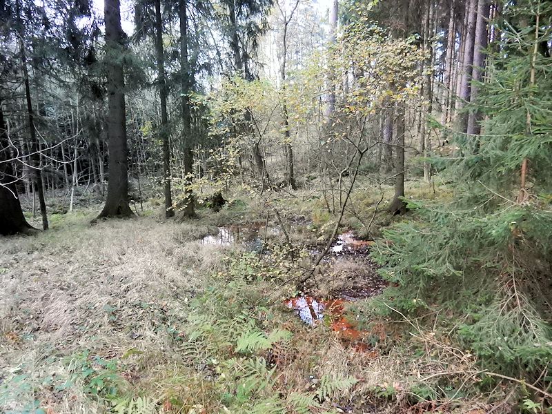 prameniště Nad lázněmi (9301)