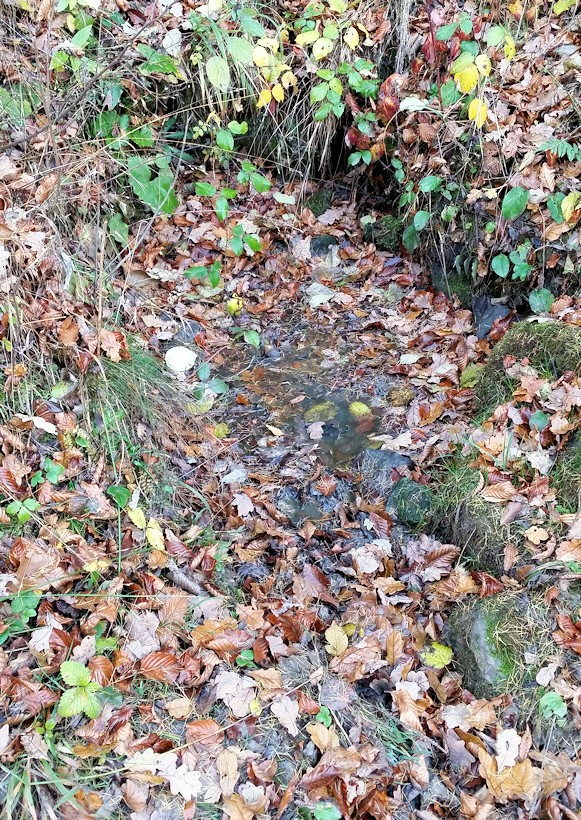 studánka Ferdinandova (9303)