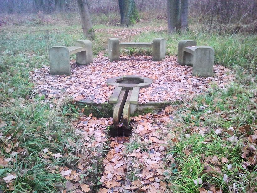 studánka Zámecký park Liblice (9304)