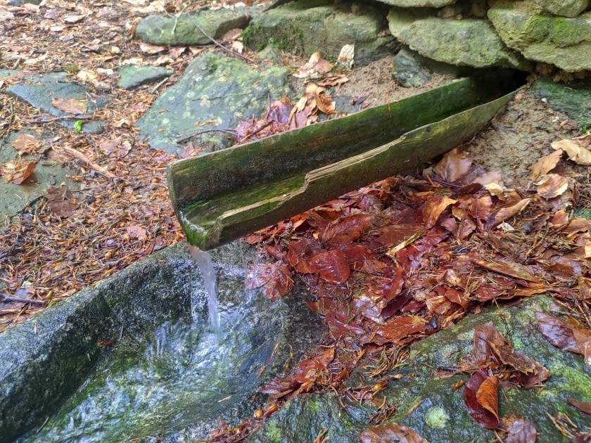 studánka Pod Habrem (9306)